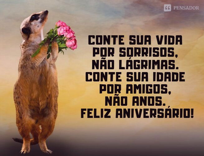 Featured image of post Mensagens Frases De Feliz Anivers rio Para Amiga O seu brilho nico e sua luz radiante iluminam o cora o de todas as pessoas que tem o privil gio de te conhecer