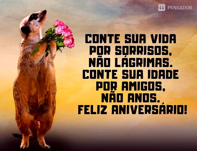 Conte sua vida por sorrisos, não lágrimas. Conte sua idade por amigos, não anos. Feliz aniversário!