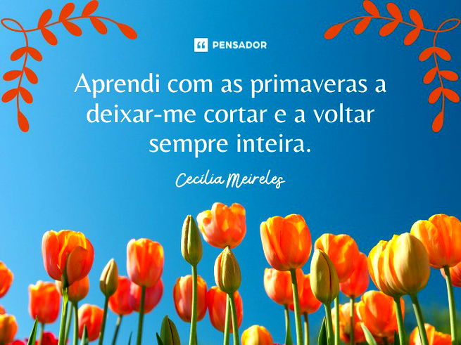 Aprendi com a primavera a voltar inteira