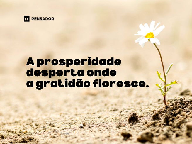 A prosperidade desperta onde a gratidão floresce.