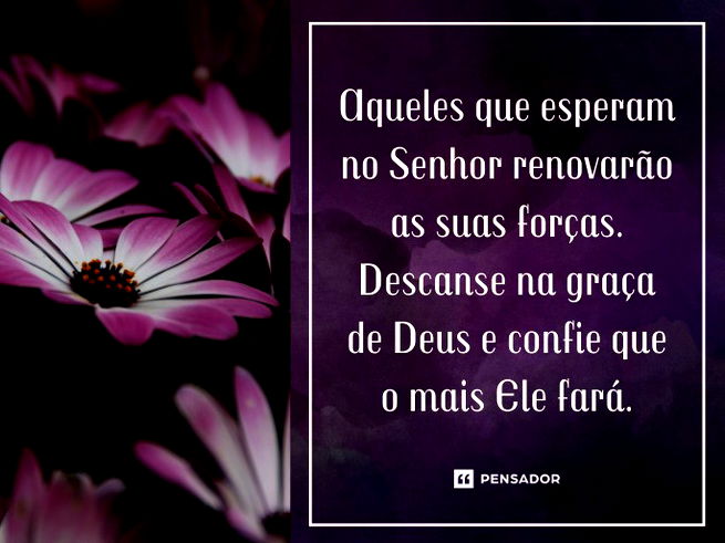 Aqueles que esperam no Senhor renovarão as suas forças. Descanse na graça de Deus e confie que o mais Ele fará.