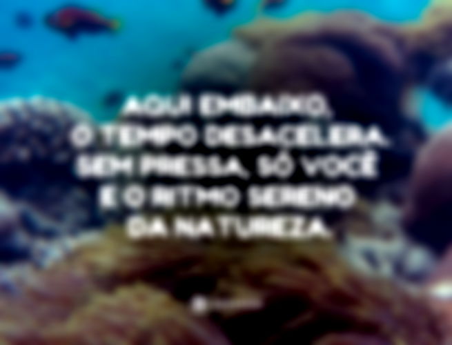 Aqui embaixo, o tempo desacelera. Sem pressa, só você e o ritmo sereno da natureza. 