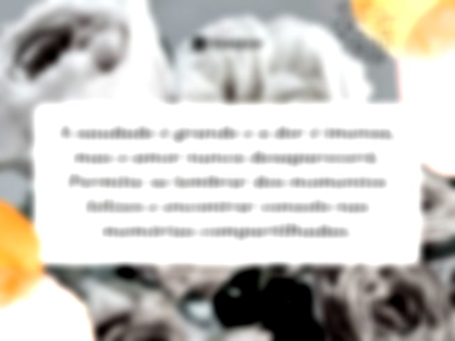 A saudade é grande e a dor é imensa, mas o amor nunca desaparecerá. Permita-se lembrar dos momentos felizes e encontrar consolo nas memórias compartilhadas.