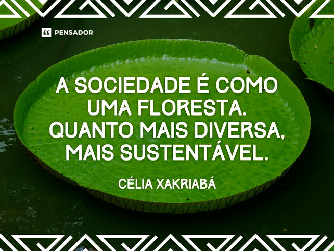 A sociedade é como uma floresta. Quanto mais diversa, mais sustentável.  Célia Xakriabá
