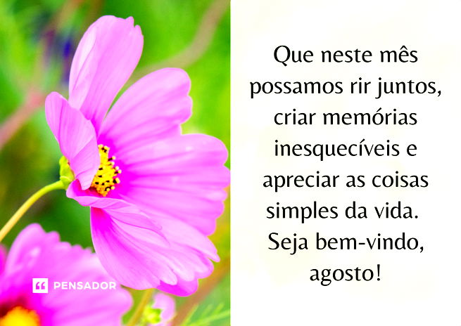 Bem-vindo, agosto! 56 mensagens para receber o mês com alegria - Pensador