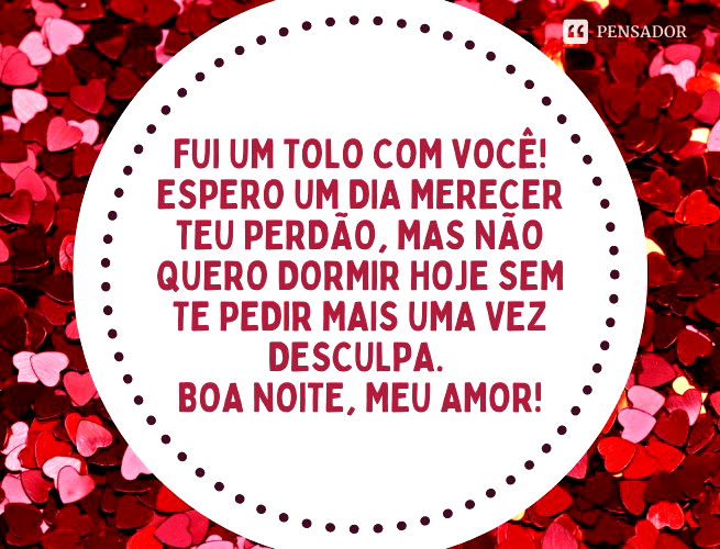 Fui um tolo com você! Espero um dia merecer teu perdão, mas não quero dormir hoje sem te pedir mais uma vez desculpa. Boa noite, meu amor!