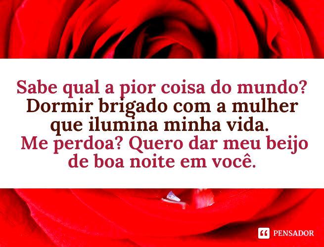 Sabe qual a pior coisa do mundo? Dormir brigado com a mulher que ilumina minha vida. Me perdoa? Quero dar meu beijo de boa noite em você.