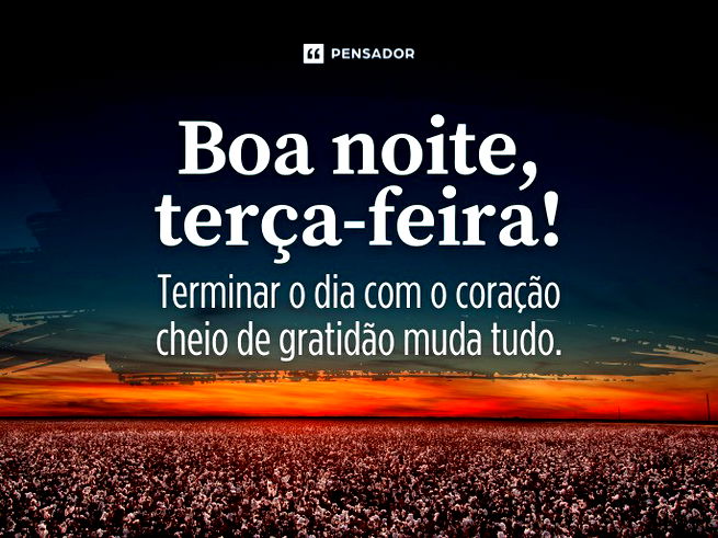 Boa noite, terça-feira! Terminar o dia com o coração cheio de gratidão muda tudo.