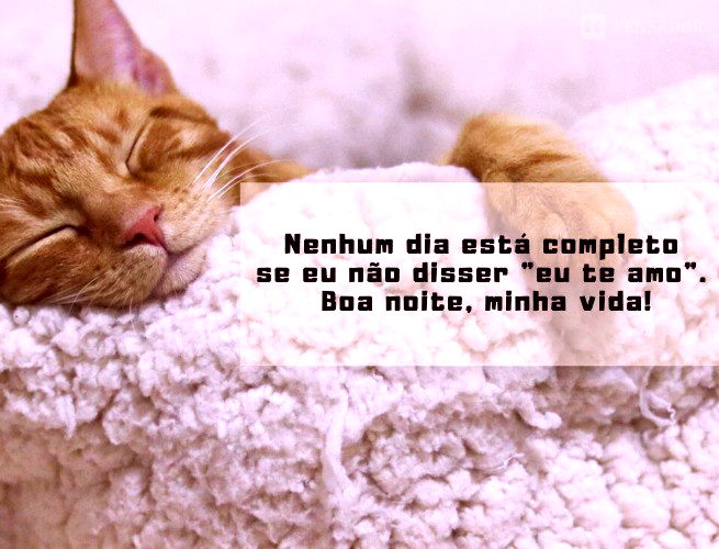 Nenhum dia está completo se eu não disser 'eu te amo'. Boa noite, minha vida!