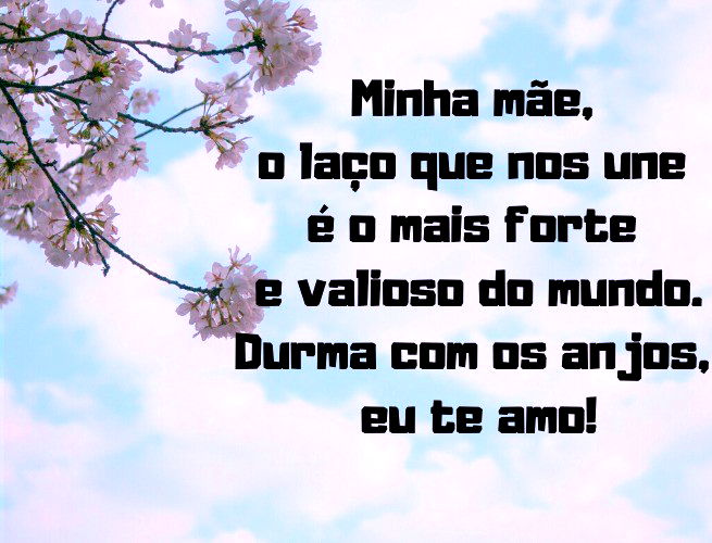 Minha mãe, o laço que nos une é o mais forte e valioso do mundo. Durma com os anjos, eu te amo!