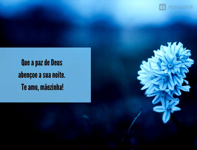 Que a paz de Deus abençoe a sua noite, te amo, mãezinha!