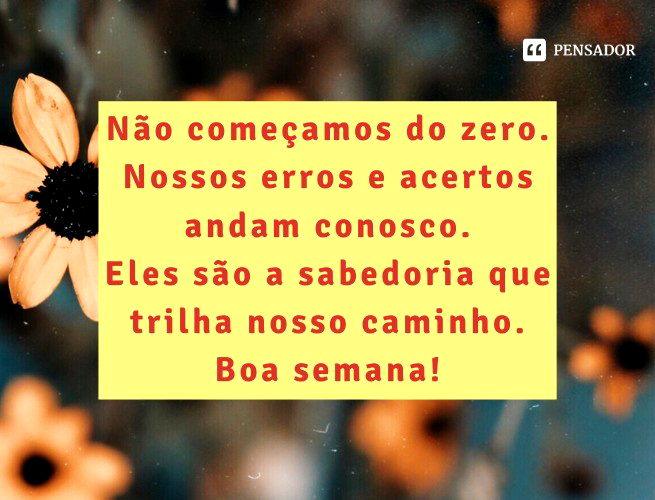 20 frases de motivação para você começar bem a semana