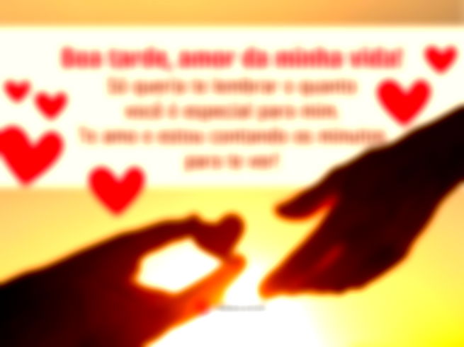 Boa tarde, amor da minha vida! Só queria te lembrar o quanto você é especial para mim. Te amo e estou contando os minutos para te ver!