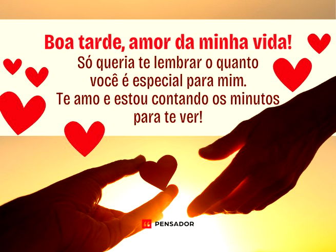 Boa tarde, amor da minha vida! Só queria te lembrar o quanto você é especial para mim. Te amo e estou contando os minutos para te ver!