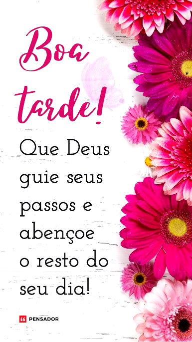 Boa tarde com flores rosas!