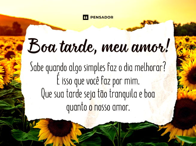 Boa tarde, meu amor! 🌞 Sabe quando algo simples faz o dia melhorar? É isso que você faz por mim. Que sua tarde seja tão tranquila e boa quanto o nosso amor. ❤️ 