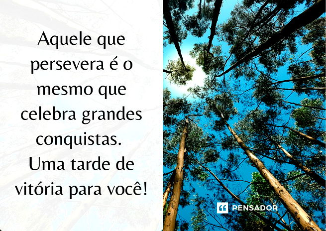 Aquele que persevera é o mesmo que celebra grandes conquistas. Uma tarde de vitória para você!