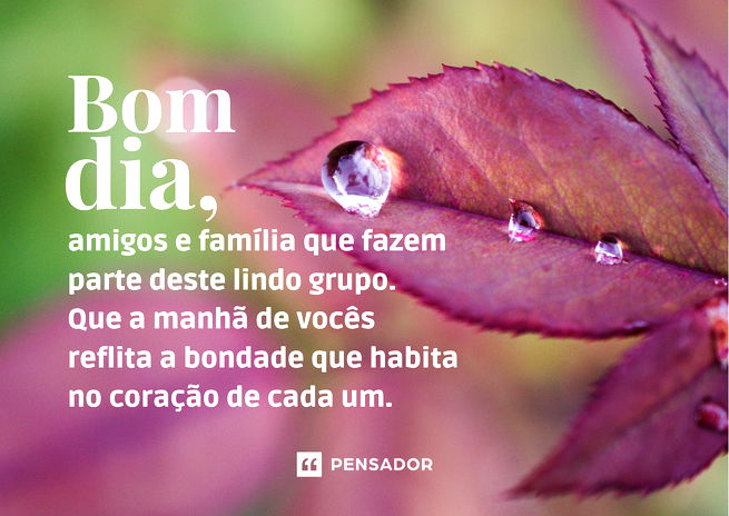 Bom Dia!  Frases inspiracionais, Frases de carinho, Lindas mensagens para  amigos