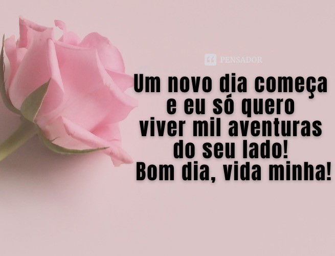 Bom Dia, Amor Da Minha Vida: 63 Mensagens E Frases 🥰 - Pensador