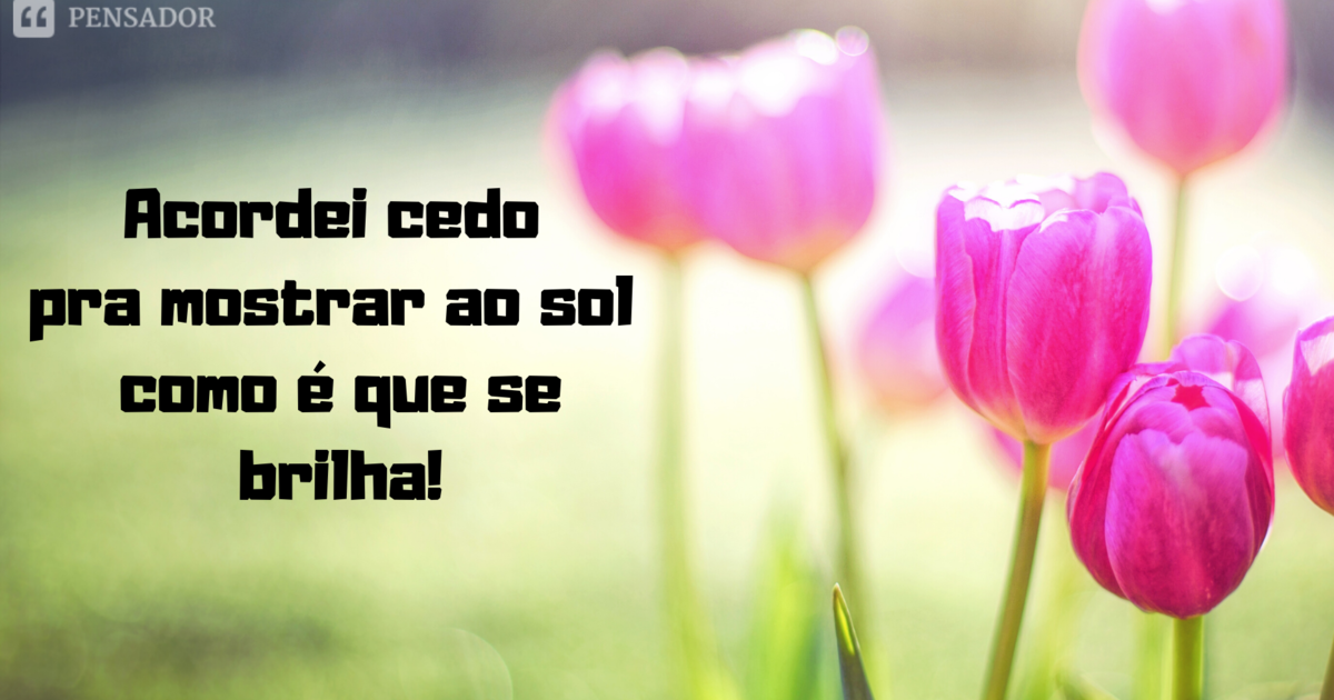 Bom dia engraçado! 30 frases para começar o dia com humor 😂 - Pensador