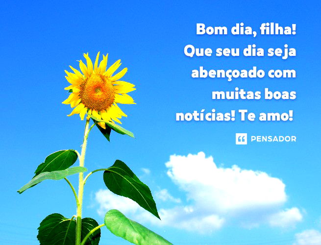 Bom Dia!!!  Felicidade, Mensagem de bom, Mensagens