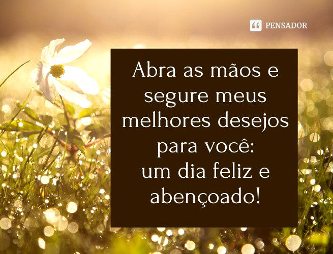 Bom Dia!!!  Felicidade, Mensagem de bom, Mensagens