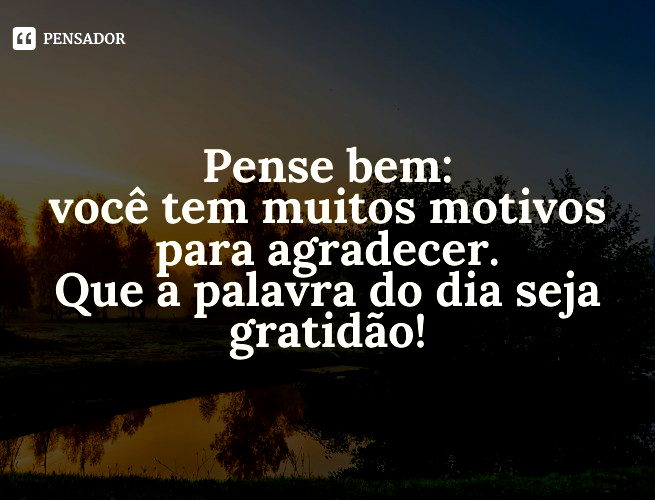 55 Frases de Bom dia Reflexão com Uma Dose de Gratidão