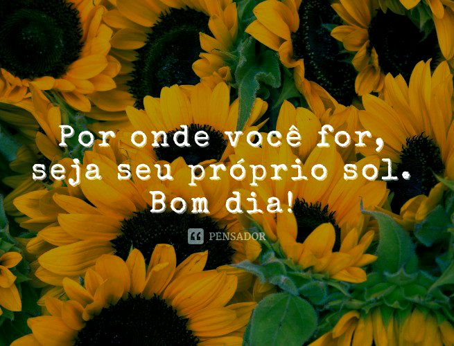 Frases de Bom Dia - Frases de Bom Dia para começar seu dia com ânimo e e  compartilhar belas mensagens!