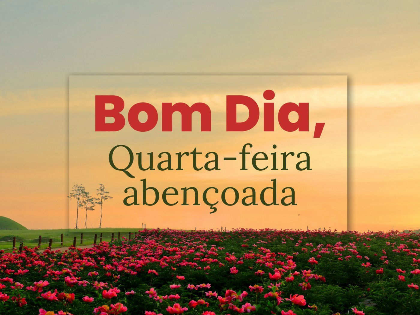 Bom dia quarta feira abençoada 47 mensagens para despertar fé