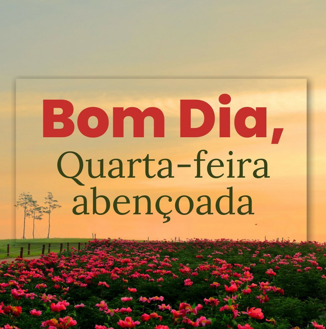 Bom dia, quarta-feira abençoada! 47 mensagens para despertar com fé -  Pensador