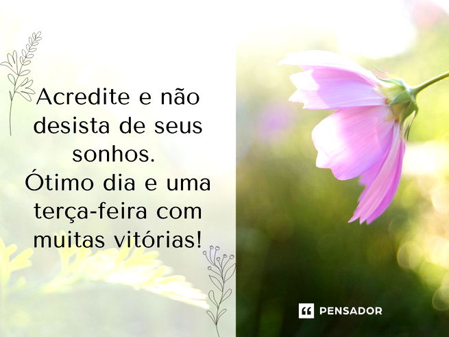 Bom dia Terça-feira Maravilhosa! Frases e Mensagens para Todos