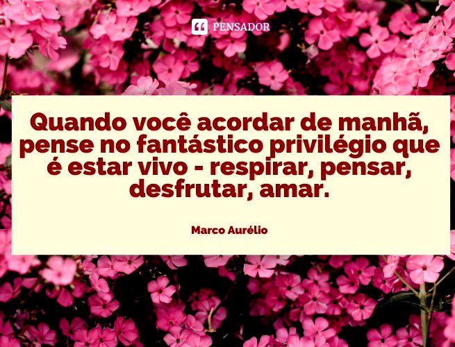 80 mensagens de bom dia para Whatsapp: escolha a perfeita para