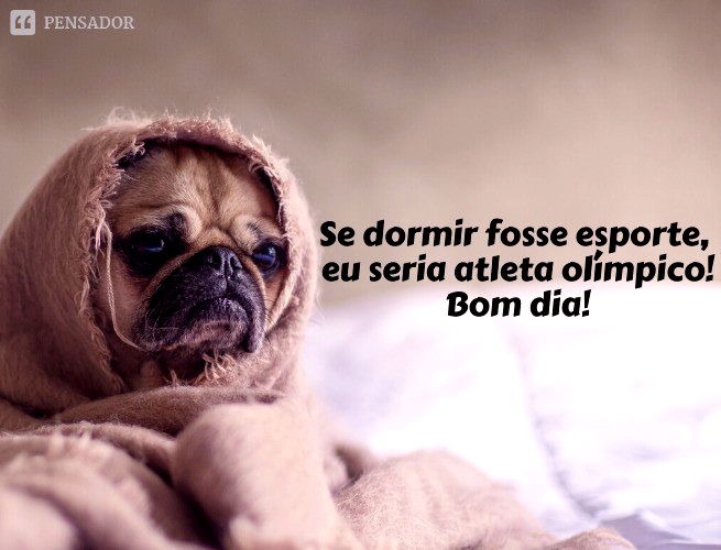 73 frases engraçadas para fotos que demonstram bom humor 🤣 - Pensador