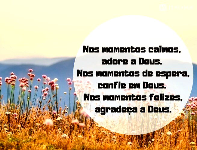 Bom Dia!!!  Frases e mensagens, Imagens motivacionais, Frases lindas de  deus