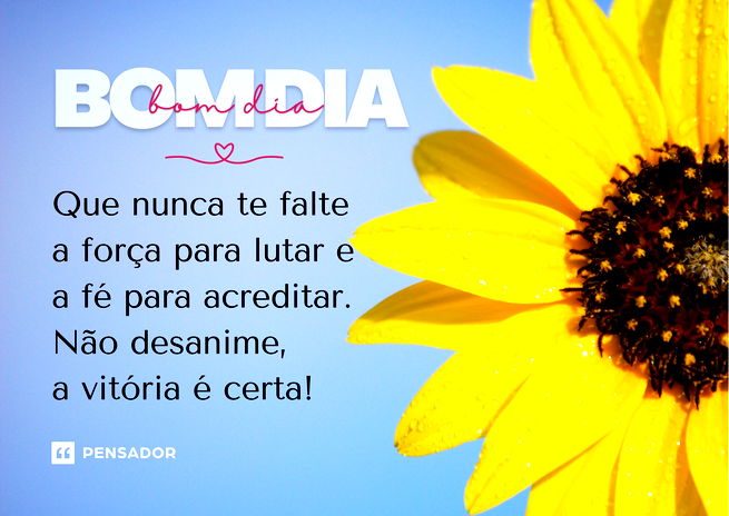 Girrasol em primeiro plano. Texto: Bom dia! Que nunca te falte a força para lutar e a fé para acreditar. Não desanime, a vitória é certa!