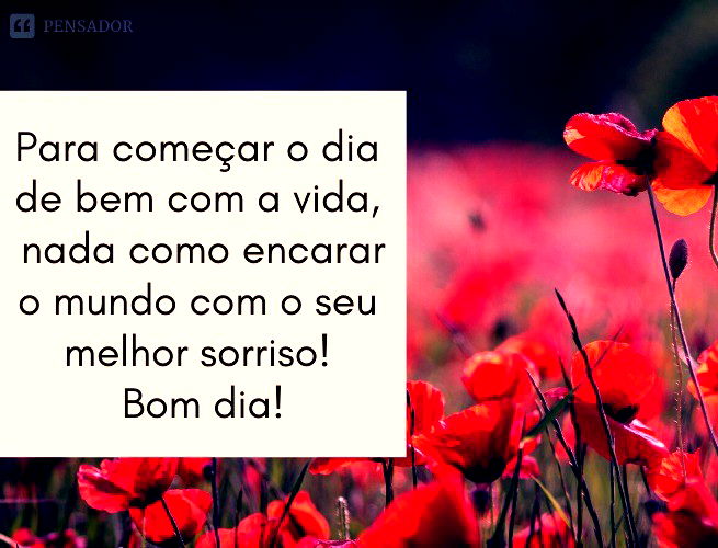 Bom dia, grupo! 32 imagens com mensagens para desejar bom dia