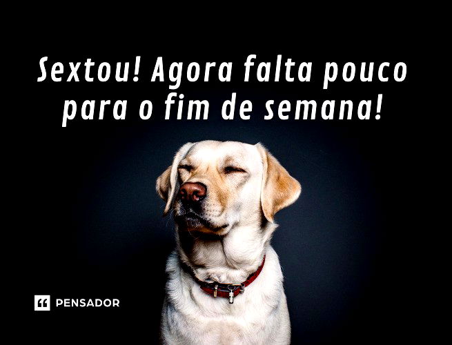 9 ideias de Chuva  chuva frases engraçadas, bom dia engraçado