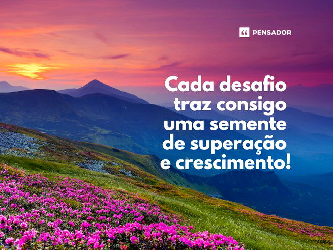 Cada desafio traz consigo uma semente de superação e crescimento.