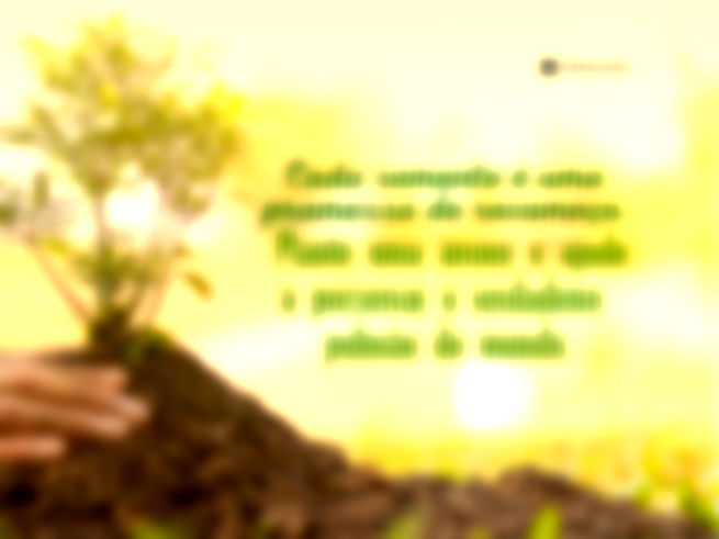 Cada semente é uma promessa de recomeço. Plante uma árvore e ajude a preservar o verdadeiro pulmão do mundo.