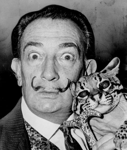 salvador dali