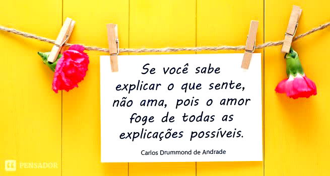 Se você sabe explicar o que sente, não ama, pois o amor foge de todas as explicações possíveis. Carlos Drummond de Andrade