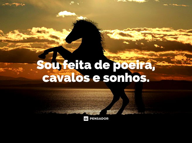 Frases com Cavalos