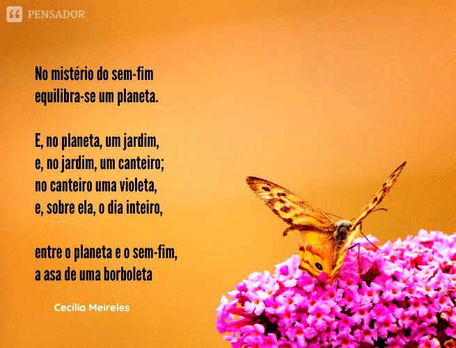 Cecília Meireles – Poemas, frases e mensagens