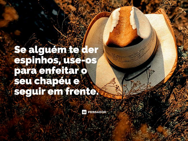 Frases de boiadeiro para todo sertanejo - Pensador