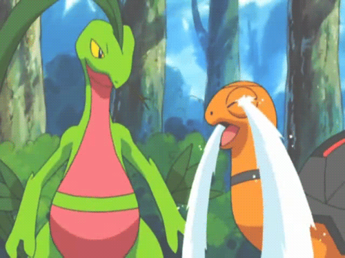 Grovyle frase pokémon