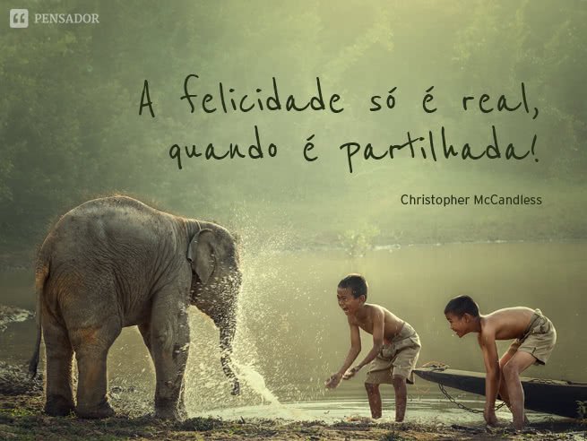 A felicidade s  real quando  partilhada.  Christopher McCandless