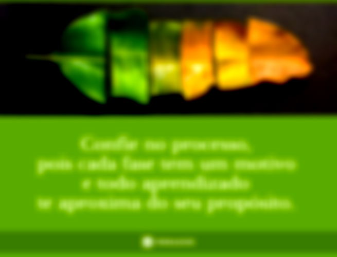 Confie no processo, pois cada fase tem um motivo e todo aprendizado te aproxima do seu propósito. 