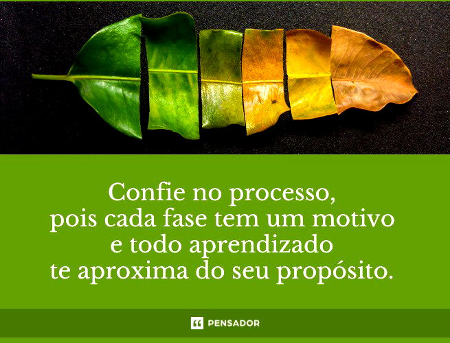 Confie no processo, pois cada fase tem um motivo e todo aprendizado te aproxima do seu propósito.