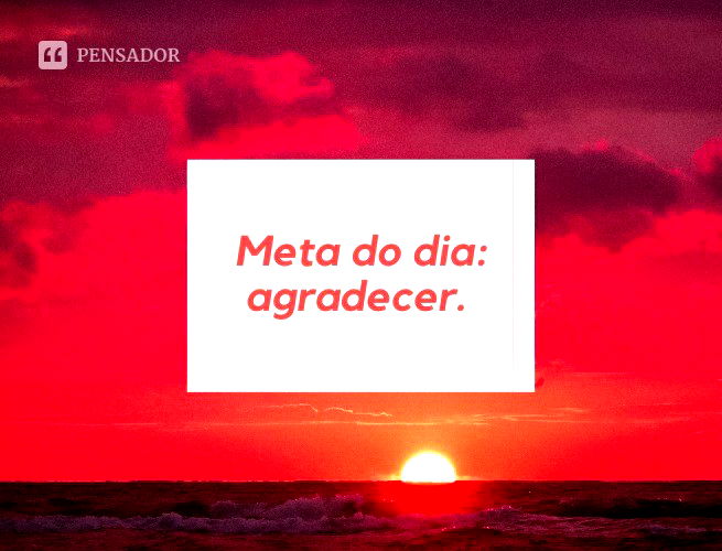 Meta do dia: agradecer.