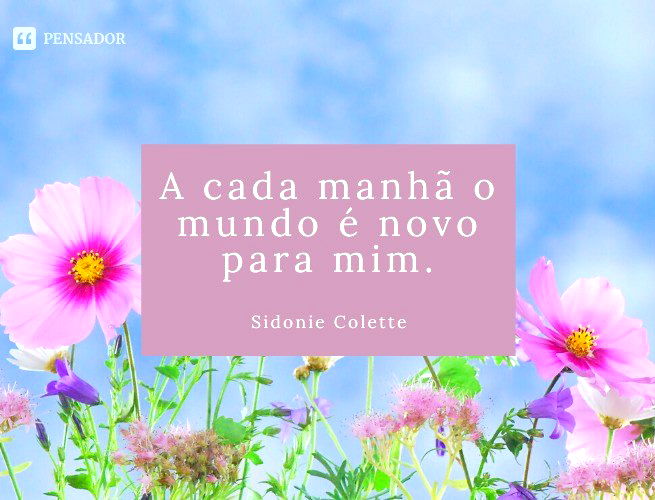 Bom dia, Feliz domingo 🙏🏻✨ #motivacao #motivacional0310 #bomdia #bom